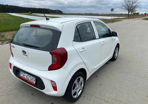 Kia Picanto cena 33900 przebieg: 47000, rok produkcji 2018 z Kórnik małe 67